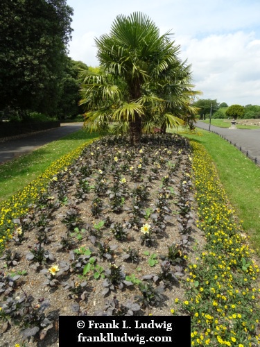 Phoenix Park, Dublin